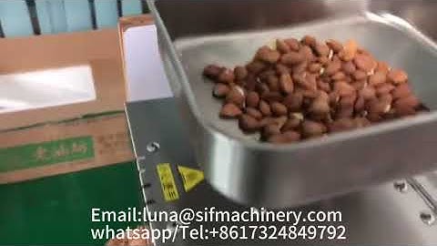 Cocoa bean oil extraction