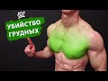 100 Пудовая Тренировка Грудных от Джеффа Кавальера