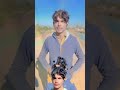 capcut video editing#allsong#carparkingnewupdatev4#jiskeaanesemukammalhogayithizindagisong#trending#