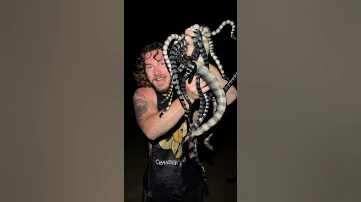 Let’s go to SNAKE ISLAND! #shorts #short #travel #animal #snake #wildlife #nature thumbnail