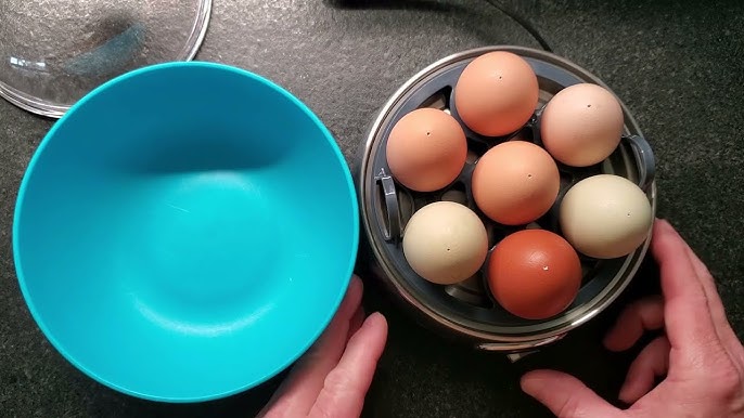 SOENDRK Rapid Egg Cooker,3 Egg Capacity Hard Boiled Egg Steamer, Electric  Egg Boiler with Auto-Shut Off,Have Steamed Eggs,bBoiled Eggs and Other