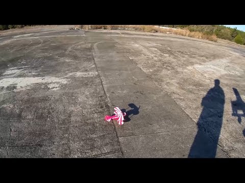 E-flite UMX Pitts S-1S 4Nov17