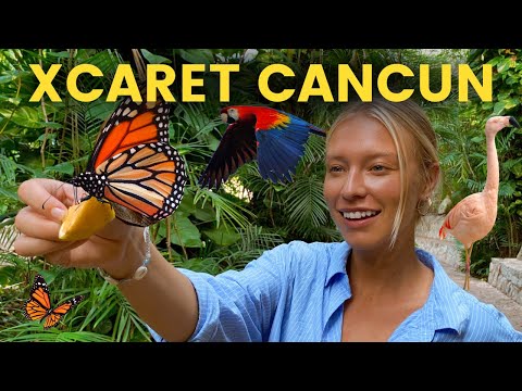 Video: Aktiwiteite en besienswaardighede in Xcaret Park