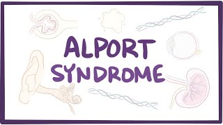 Alport syndrome - causes, symptoms, diagnosis, treatment & pathology