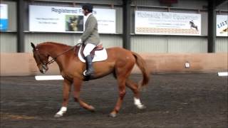 Scott Dressage 28.04.13