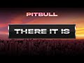 Pitbull - There It Is (Visualizer)