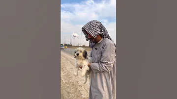 الجلب رجع للبيت وهوه تيه الطريق 
