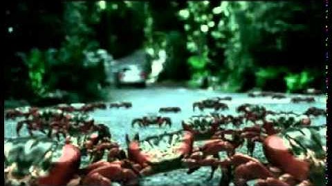 VFX Creature Animation  Created Using QPAS