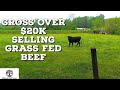 Gross Over $20K Selling Grass Fed Beef WITHOUT Raising Cattle!