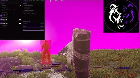 USING BEST $8 RUST CHEAT (ft. disconnect.wtf)