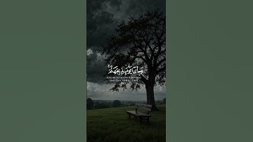 سورة الفجر من آية 21 إلى آية 23 بصوت ناصر القطامي | #سورة_الفجر #ناصر_القطامي #تلاوة
