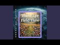 Pineal Light Flow