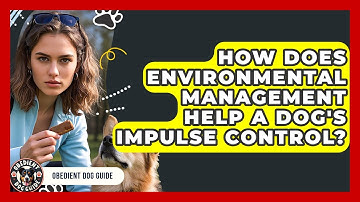 How Does Environmental Management Help A Dog