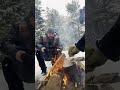 Сплав по зимней Ислочи с костром и салом. Kayaking in the forest with a fire and fried bacon