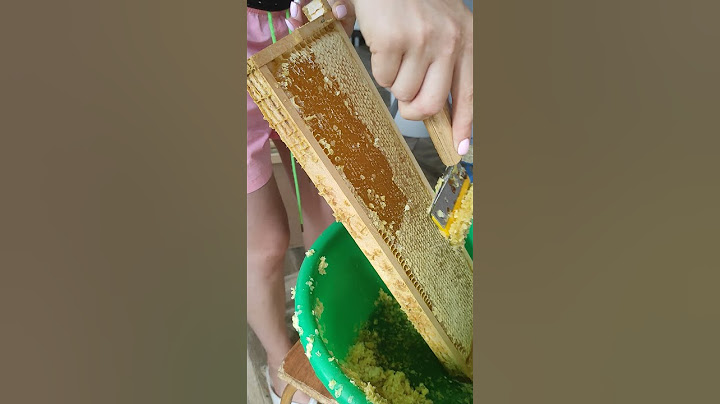 Descapacirea mierei. Soția pentru prima oară face asta!❤️