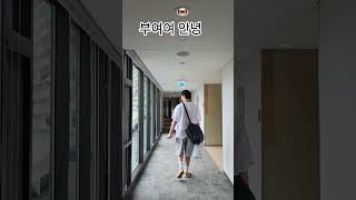#비투비#그리워하다#롯데리조트#부여#부여여행