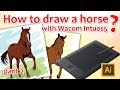 How to draw a horse with Wacom Intuos5 (Part 2)
