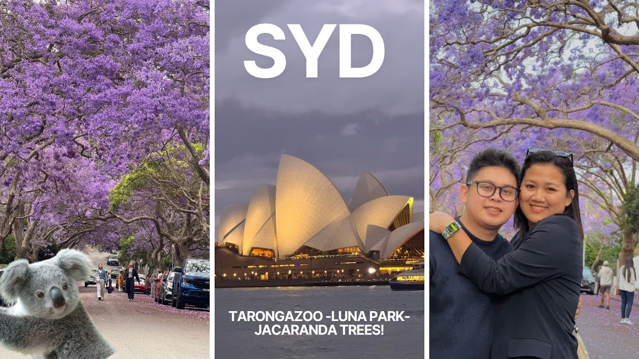SYDNEY AUSTRALIA! | LUNA PARK| TARONGA ZOO| QBV|McDougall St Jacaranda Trees  (PART 2)