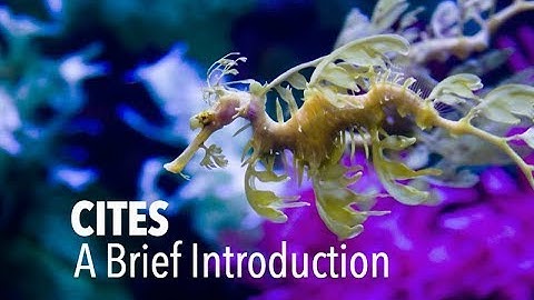 CITES; A Brief Introduction
