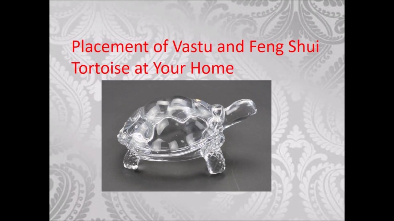 Important Tips To Place Feng Shui And Vastu Tortoise Money And Long important-tips-to-place-feng-shui-and-vastu-tortoise-money-and-long