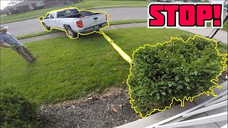 RIPPING OUT Boxwoods with TRUCK! Landscape INSTALLATION! (day in the life)