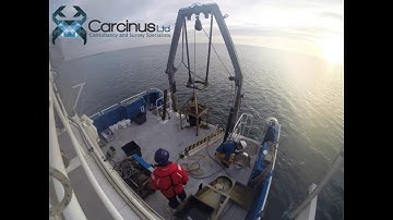 Sediment grab sampling survey for marine ecology and sediment contamination