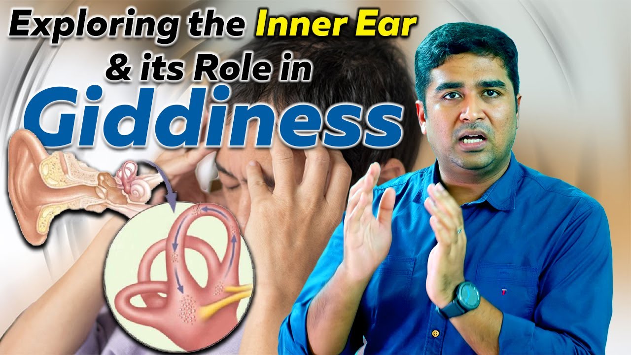 Exploring The Inner Ear And Its Role In Giddiness Dr Vignesh Gokul ENT exploring-the-inner-ear-and-its-role-in-giddiness-dr-vignesh-gokul-ent