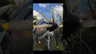 Why you might want to deliberately under-expose your phone photos!