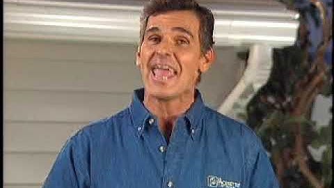 Leaf Away 2 MPEG 4 Improved NTSC Large Progressive