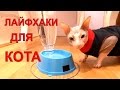 САМЫЕ ВАЖНЫЕ ЛАЙФХАКИ ДЛЯ КОШЕК / DIY / LIFE HACKS FOR CATS