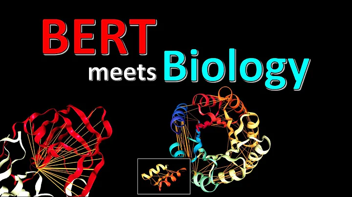 BERTology Meets Biology: Interpreting Attention in...