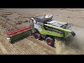 CLAAS LEXION 8700 bei der Weizen Ernte in der Altmark 4K