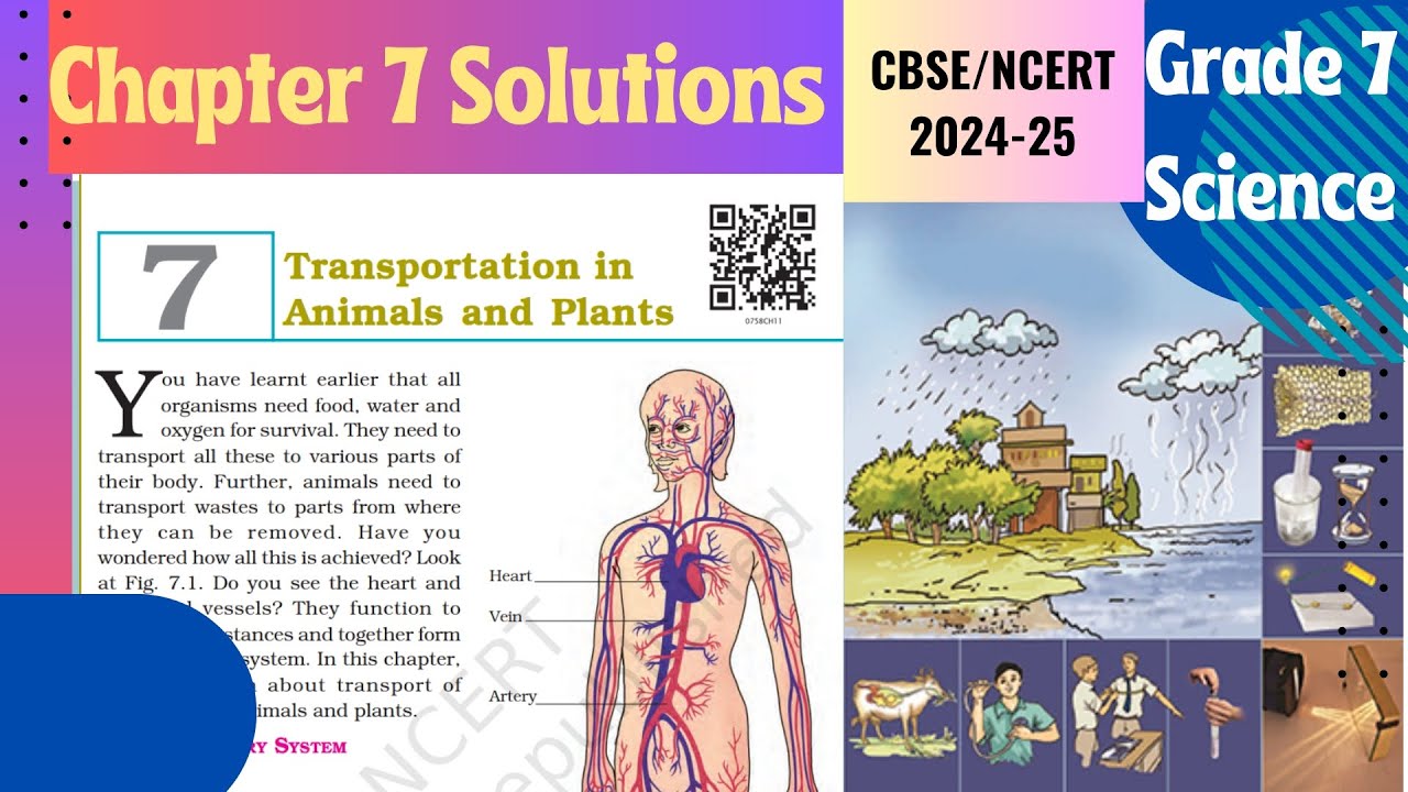 Transportation in Animals and Plants || NCERT CLASS 7 SCIENCE CH - 7 ...