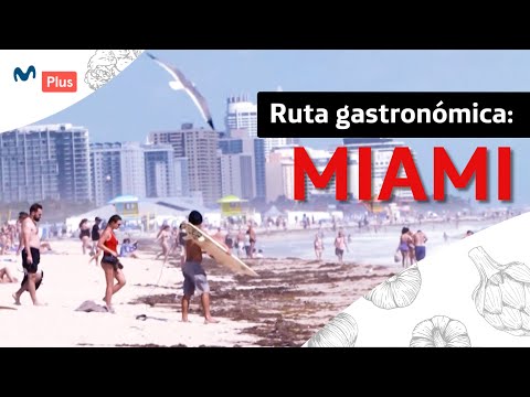 Vídeo: 9 Experiencias De Comida Latina Que Debes Tener En Miami - Matador Network