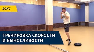 Тренировка выносливости и скорости в боксе