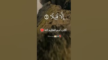 #بسم_الله_الرحمن_الرحيم#فلسطين #سورة_الإسراء#تركيا#الله#الجزائر #سبحان_الله#quran #إذاعة_القرآن
