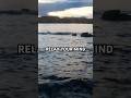 Relax Your Mind 🌊 Ocean Waves for Stress Relief