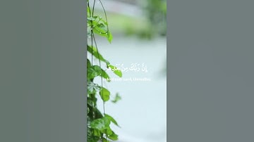 والذين عملوا السيئات ثم تابوا | ياسر الدوسري سورة الأعراف