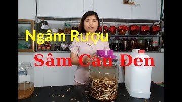 Cách Ngâm Rượu Sâm Cau Đen - Cơ bản Nhất
