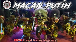 Penonton Bludak !!! MP Macan Putih Kambengan  Donorejo Live Perform Kruwet Grabag Magelang