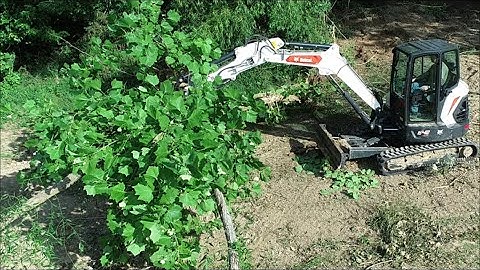 DAY 2 & Drone vids, Clearing trees with mini excavator for pond; Bobcat e42 R series
