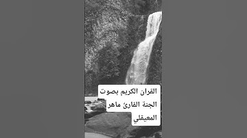 من القرآن الكريم # القارئ ماهر المعيقلي سورة  الزمر بسم الله الرحمن الرحيم