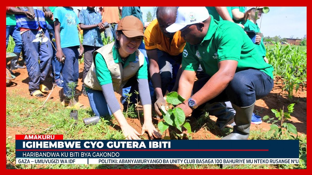 MINALOC yasabye Abanyarwanda kugira umuco wo gutera ibiti - YouTube