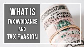What is the Difference Between Tax Evasion vs Tax Avoidance - Full AML Tutorial