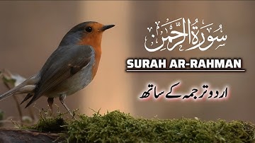 Surah Rahman urdu tarjuma ke sath | سورة الرحمن | Ar-Rahman full | सूरह रहमान