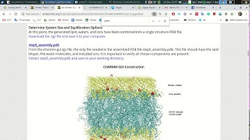 AMBER | An Amber Lipid Force Field Tutorial: