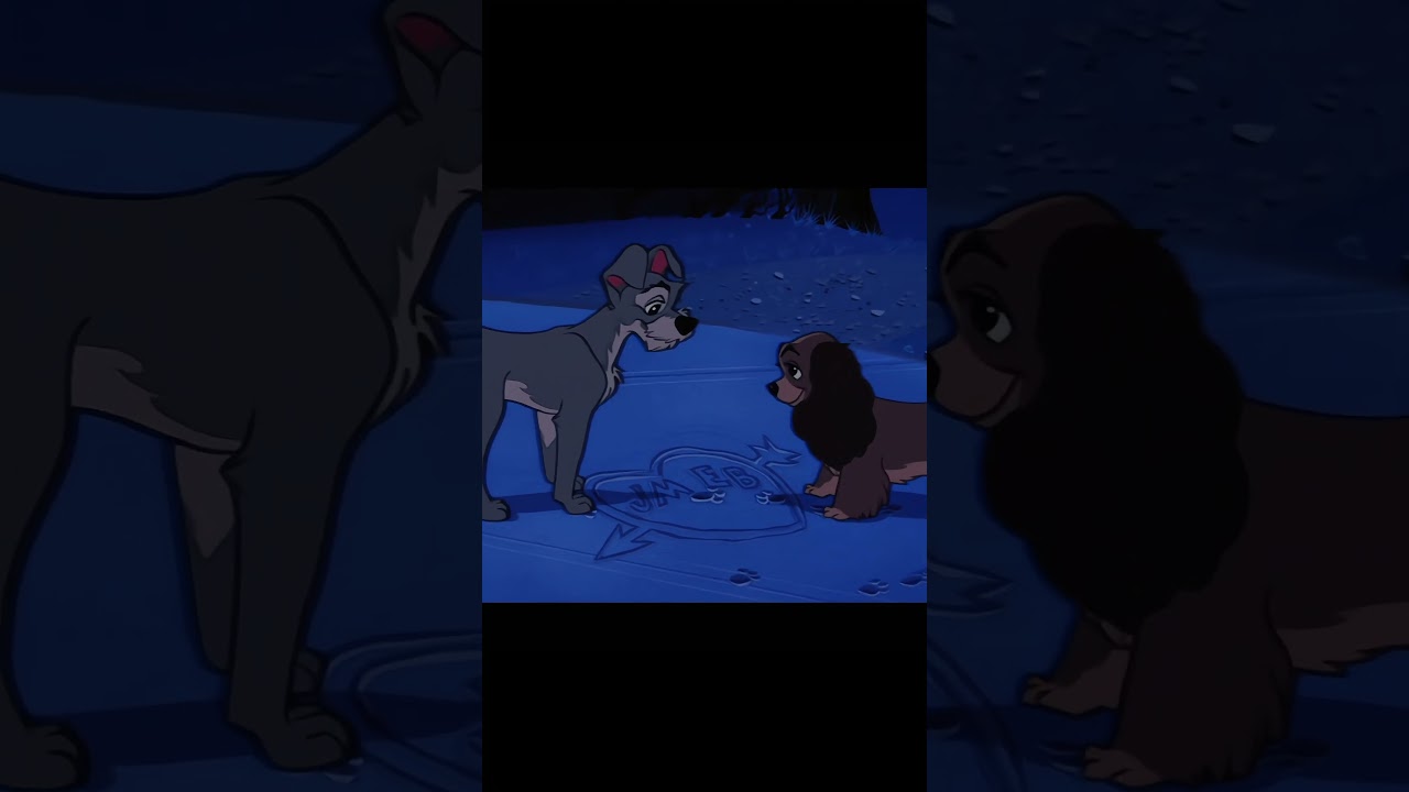 Lady and the tramp (1955)