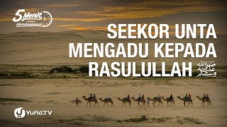 Seekor Unta Mengadu kepada Rasulullah - Ustadz Abu Zubair Al-Hawaary - 5 Menit yang Menginspirasi