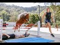 Crunch ★ "FREE JUMPING 4" ★ Miniature Horse Jumping Champion 4K