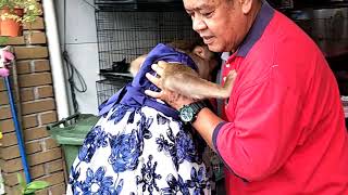 Jk Try To Grab My Friend